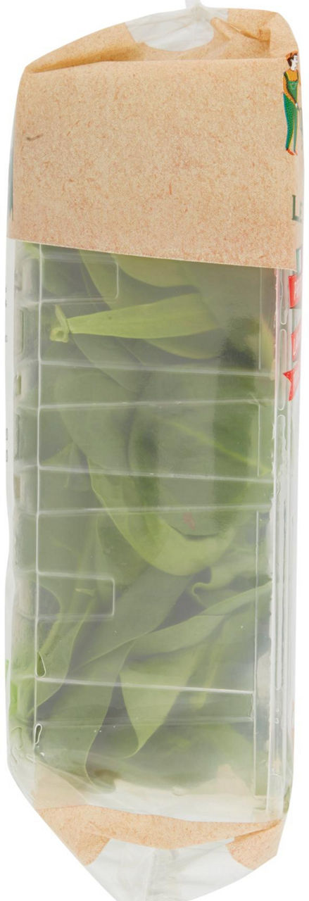 Le Insalate Fresche Fresche Spinacino 80 g - 1