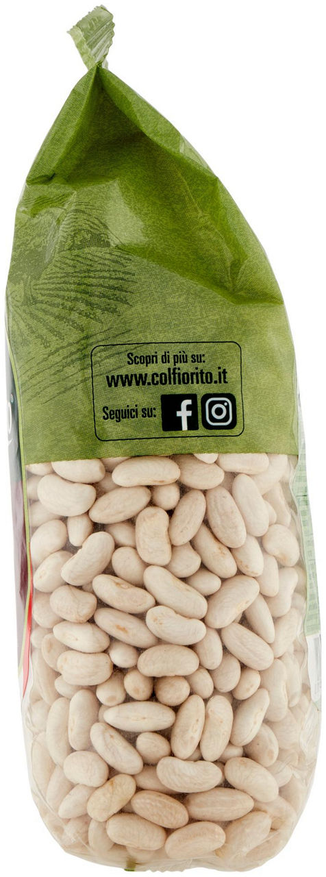 FAGIOLI CANNELLINI SECCHI 500G - 3