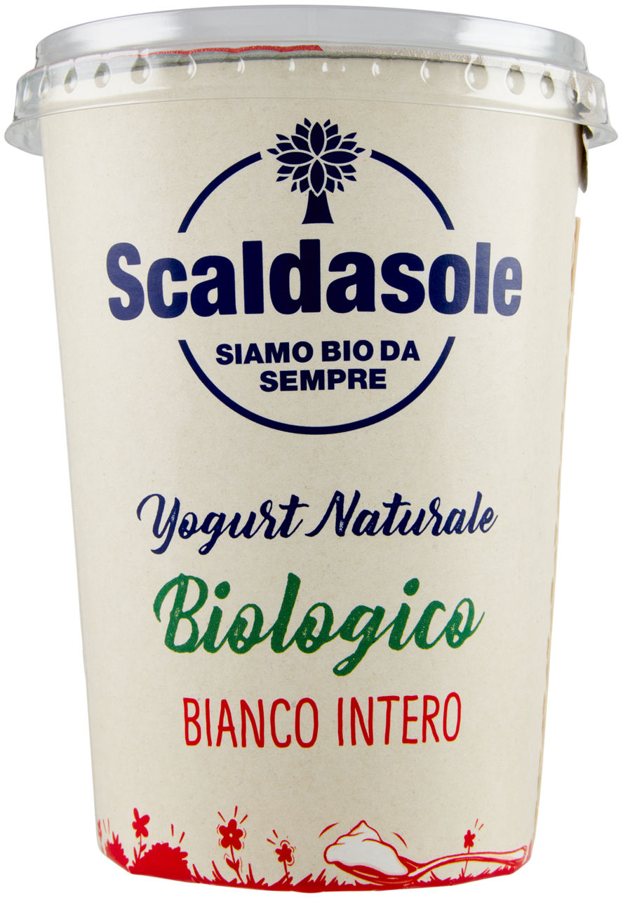 Yogurt bianco intero bio 500 gr - Immagine 01