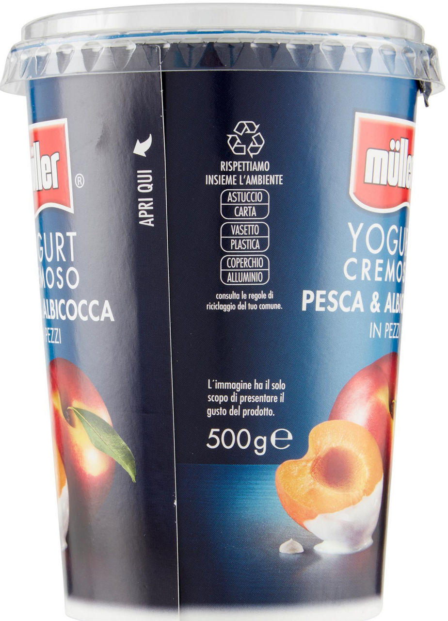 Yogurt cremoso con pesca e albicocca in pezzi 500 gr - Immagine 21