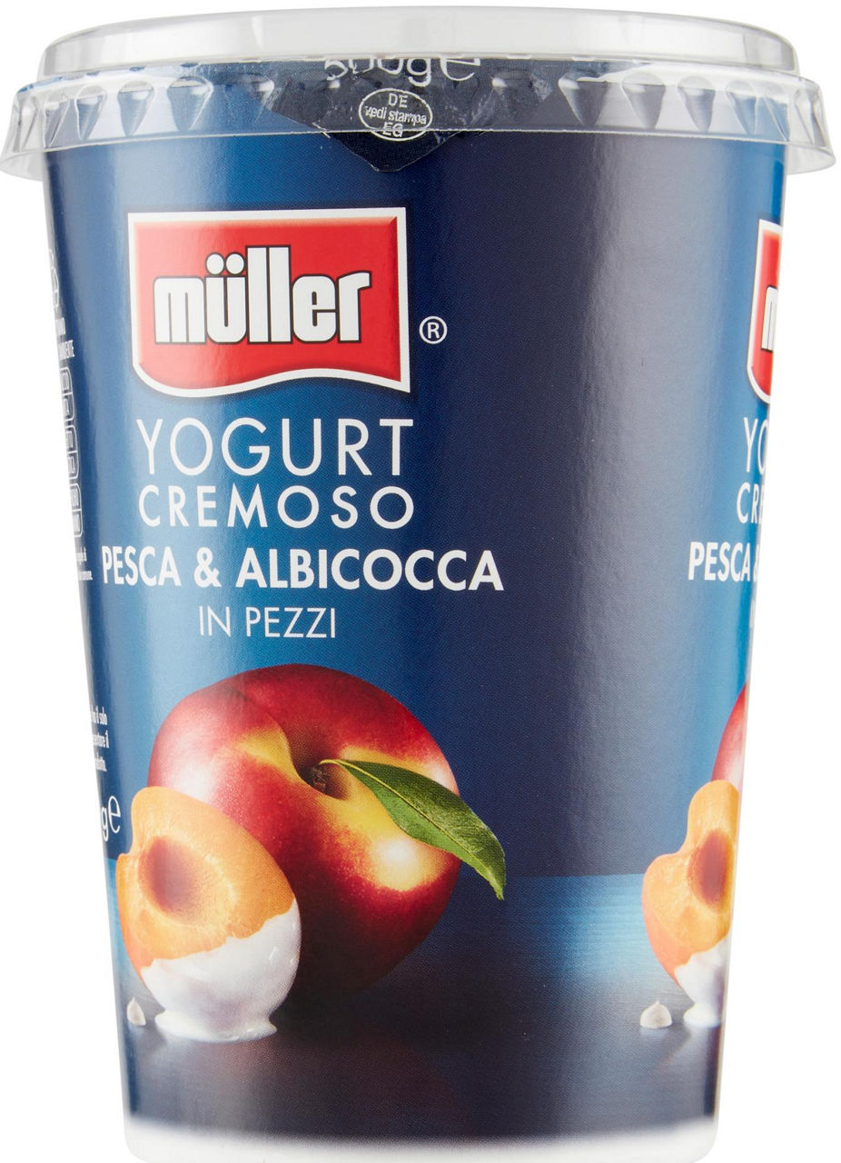 Yogurt cremoso con pesca e albicocca in pezzi 500 gr - Immagine 11