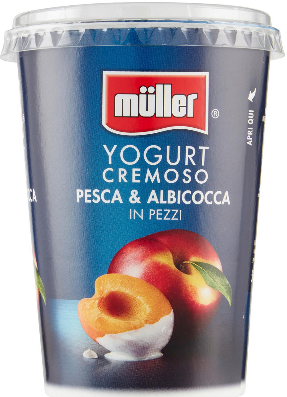 Yogurt cremoso con pesca e albicocca in pezzi 500 gr - Immagine 31