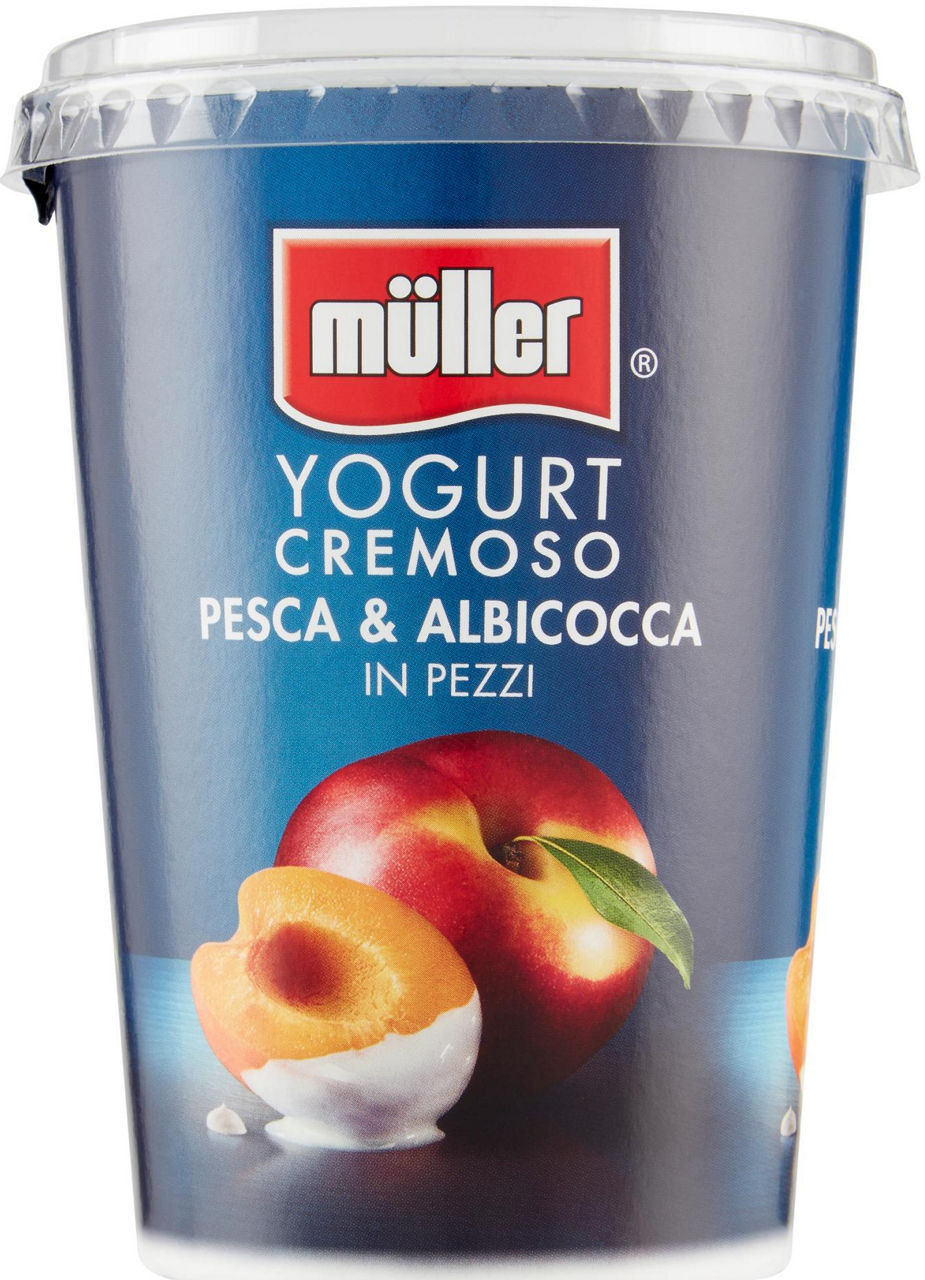 Yogurt cremoso con pesca e albicocca in pezzi 500 gr