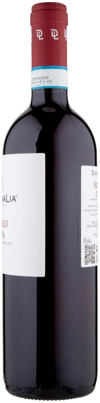 NEBBIOLO D'ALBA - Immagine 31