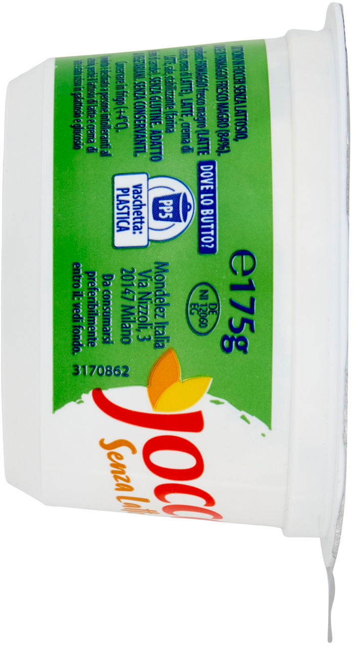 Fiocchi di latte Senza Lattosio a base di formaggio fresco magro - 175 g - 1
