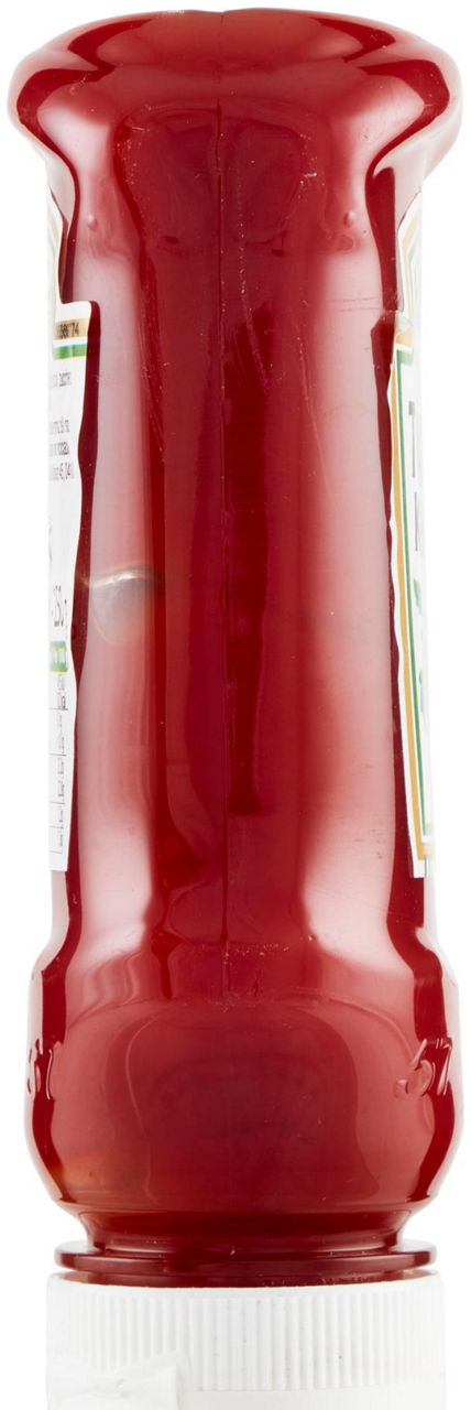 Tomato Ketchup 250 g - 1