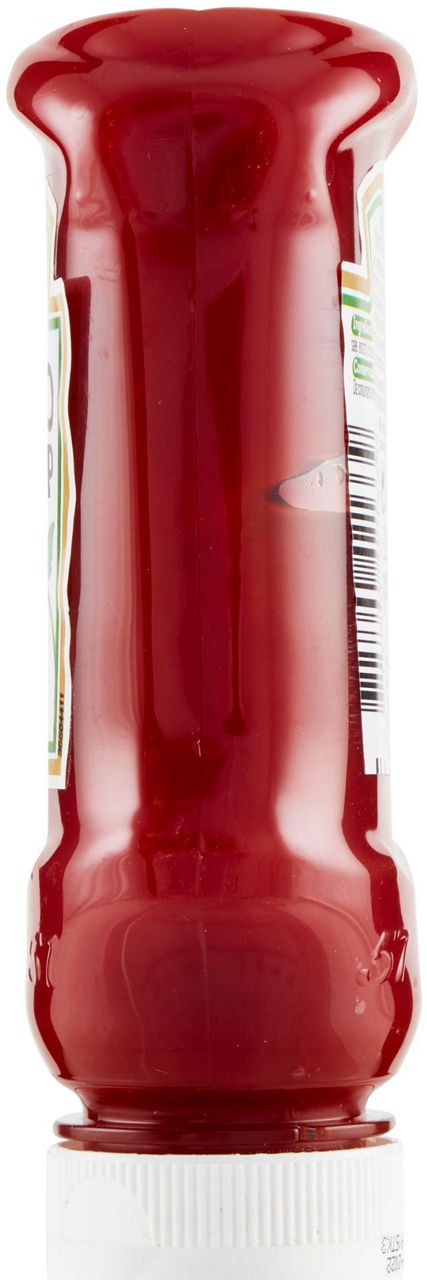 Tomato Ketchup 250 g - 3