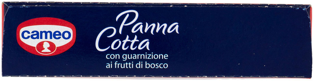 PANNA COTTA CAMEO AI FRUTTI DI BOSCO SC. GR.107 - Immagine 41