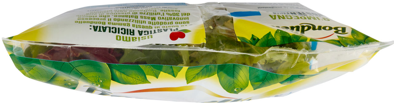 Insalata mix armonia 170 gr - Immagine 41