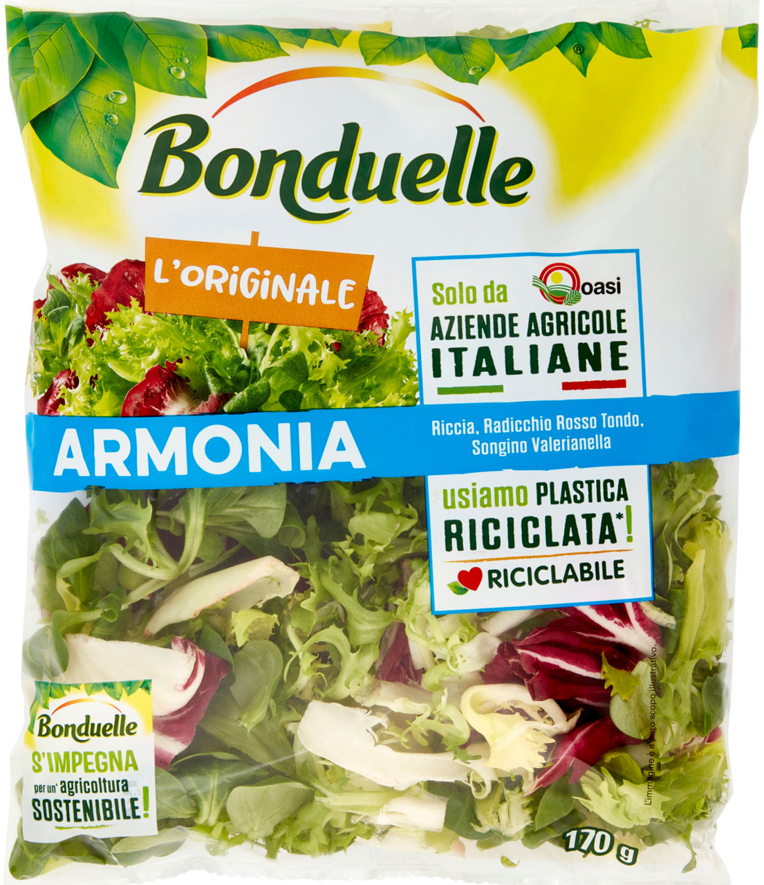 Insalata mix armonia 170 gr - Immagine 01