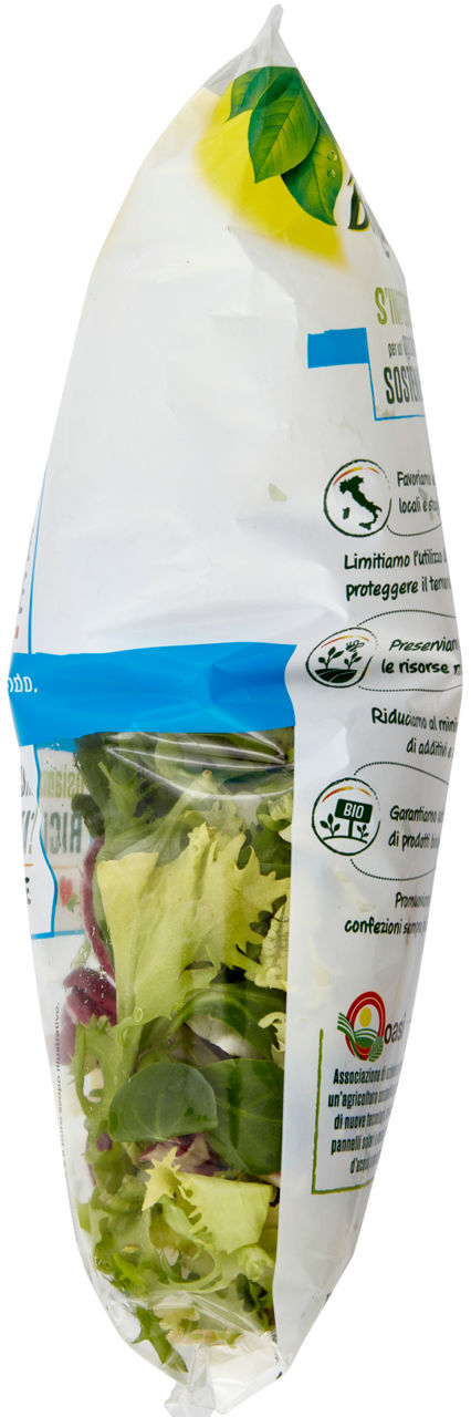 Insalata mix armonia 170 gr - Immagine 31