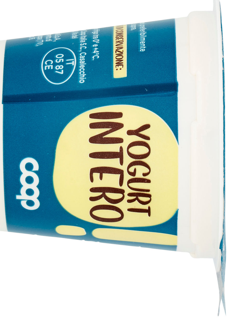 Yogurt intero all'albicocca 125 gr - Immagine 11