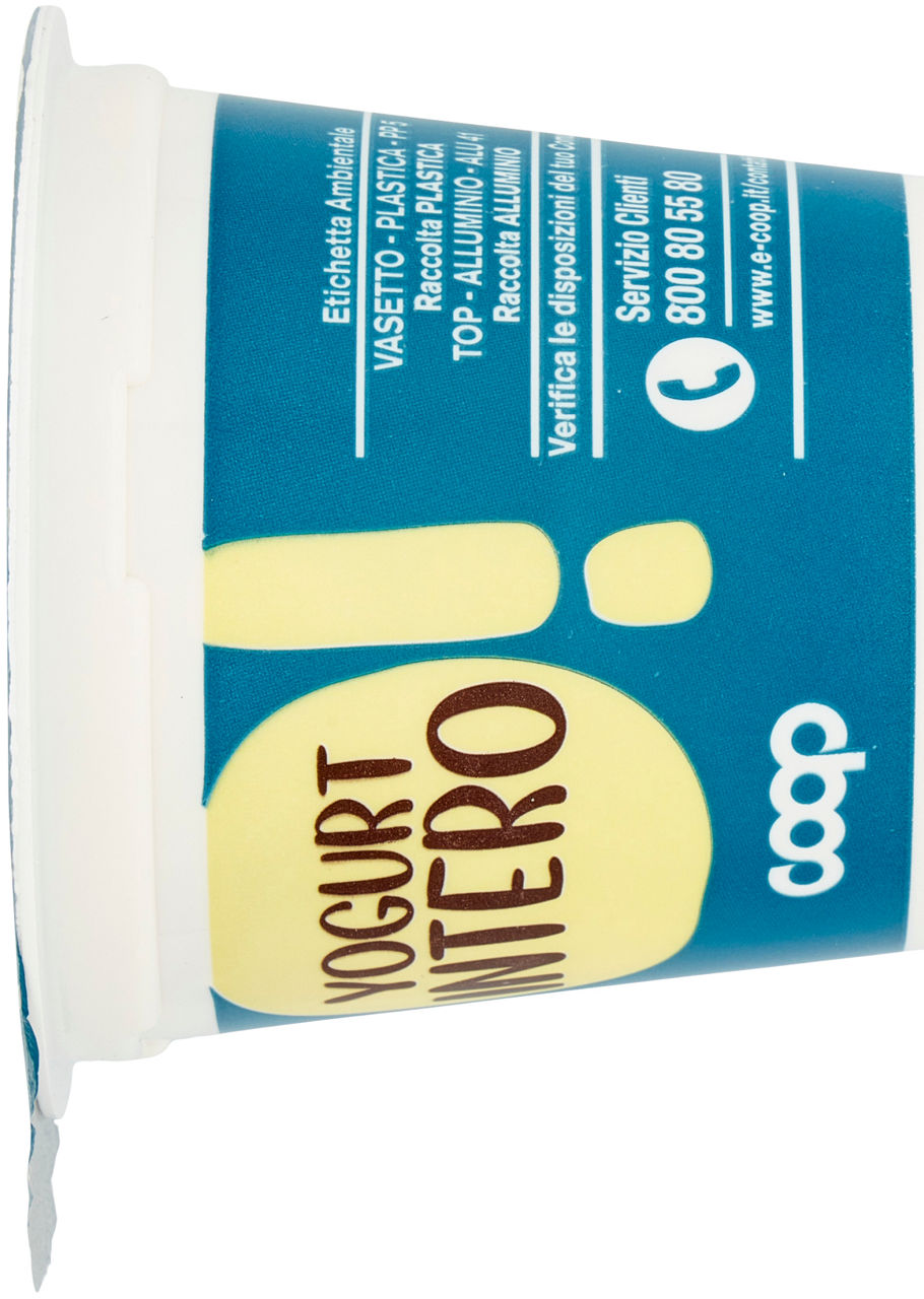 Yogurt intero alla banana 125 gr - Immagine 31