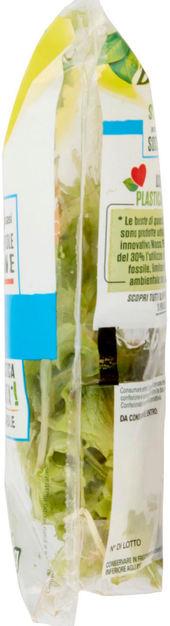 Lattughino 60 gr - Immagine 31