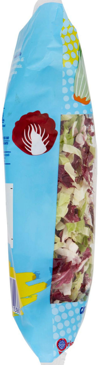 INSALATA MISTA JULIENNE 400G - Immagine 41