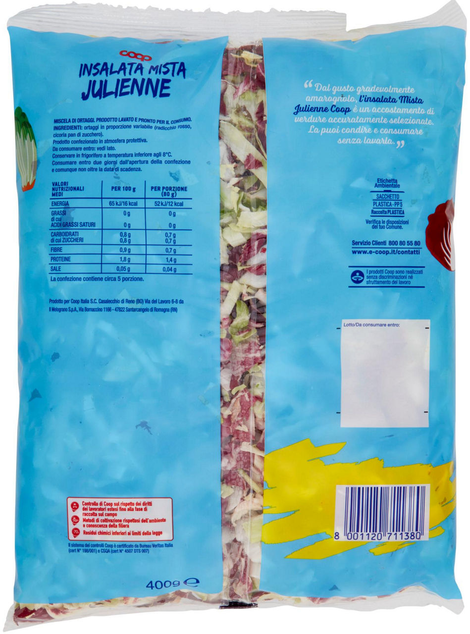 INSALATA MISTA JULIENNE 400G - Immagine 101