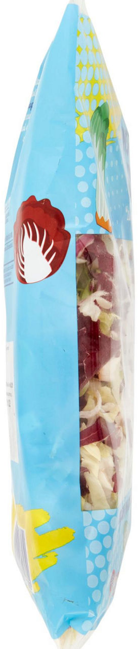 INSALATA MISTA JULIENNE 400G - Immagine 51