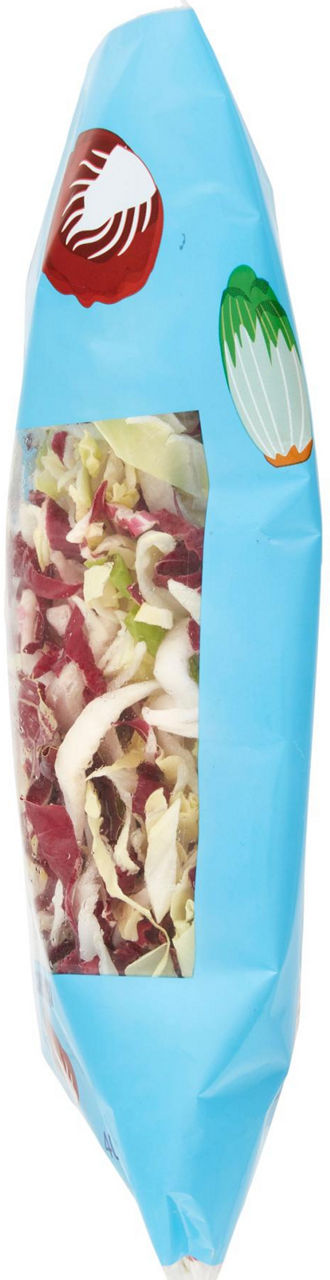 INSALATA MISTA JULIENNE 400G - Immagine 121