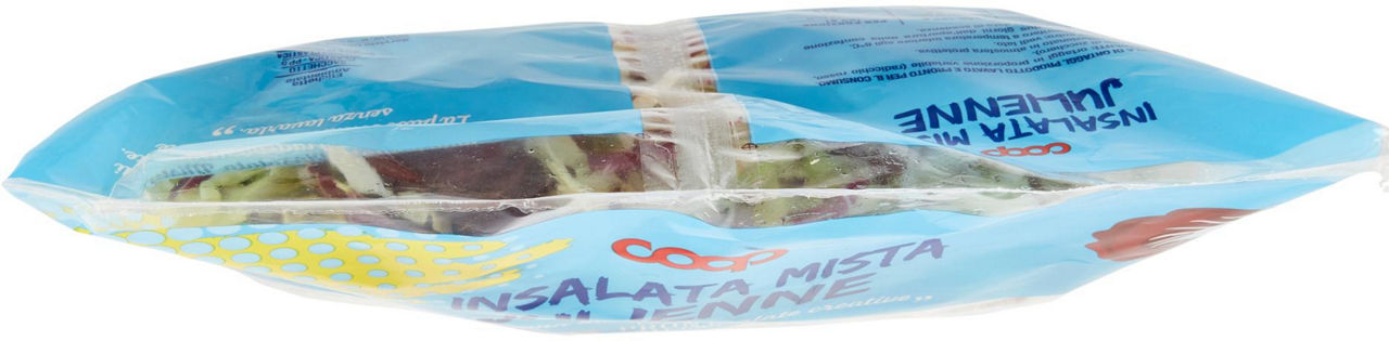 INSALATA MISTA JULIENNE 400G - Immagine 171