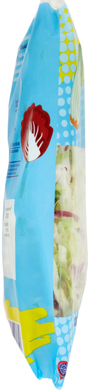 INSALATA MISTA JULIENNE 400G - Immagine 71