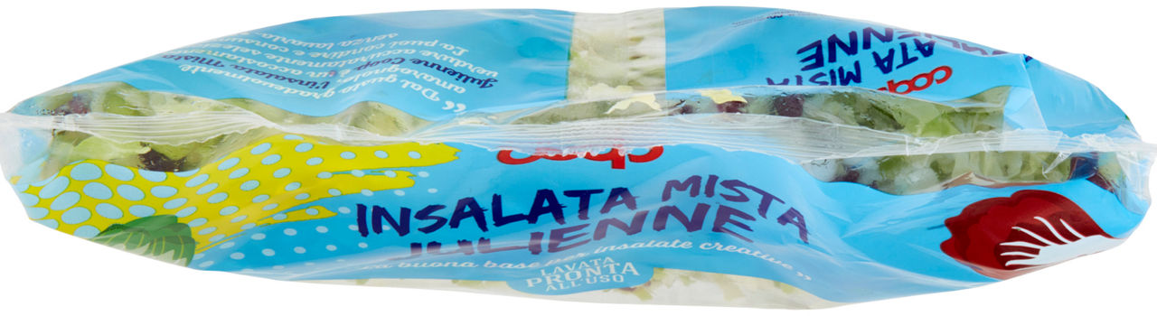 INSALATA MISTA JULIENNE 400G - Immagine 191