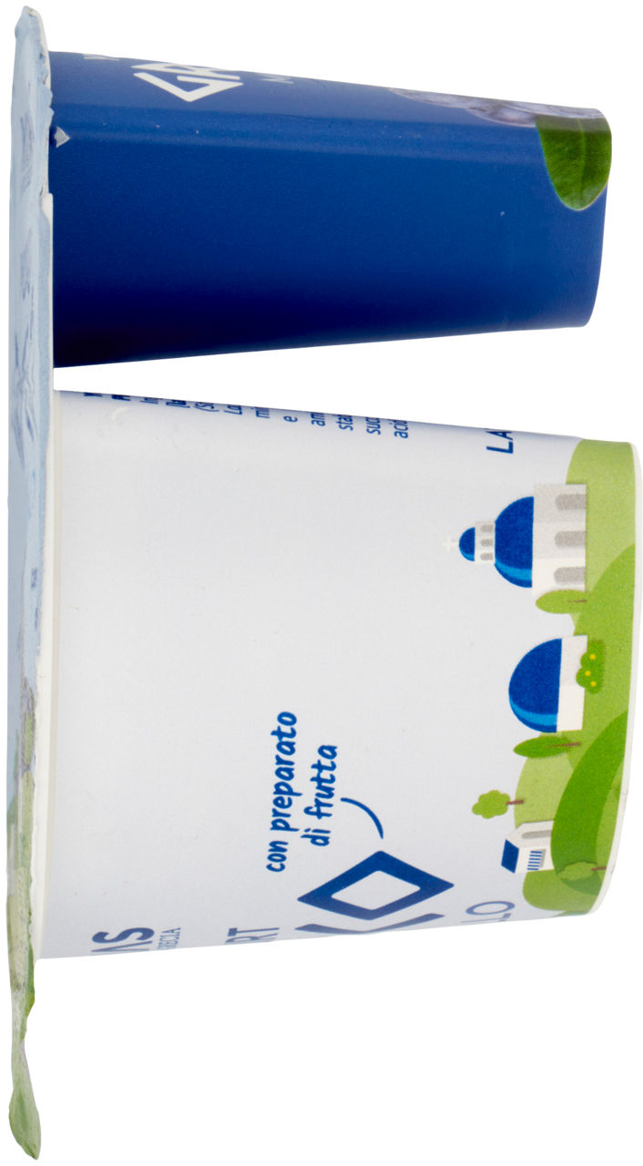 Yogurt greco al mirtillo zero grassi 150 gr - Immagine 31