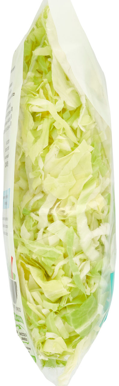 Lattuga iceberg alla julienne 500 gr - Immagine 11