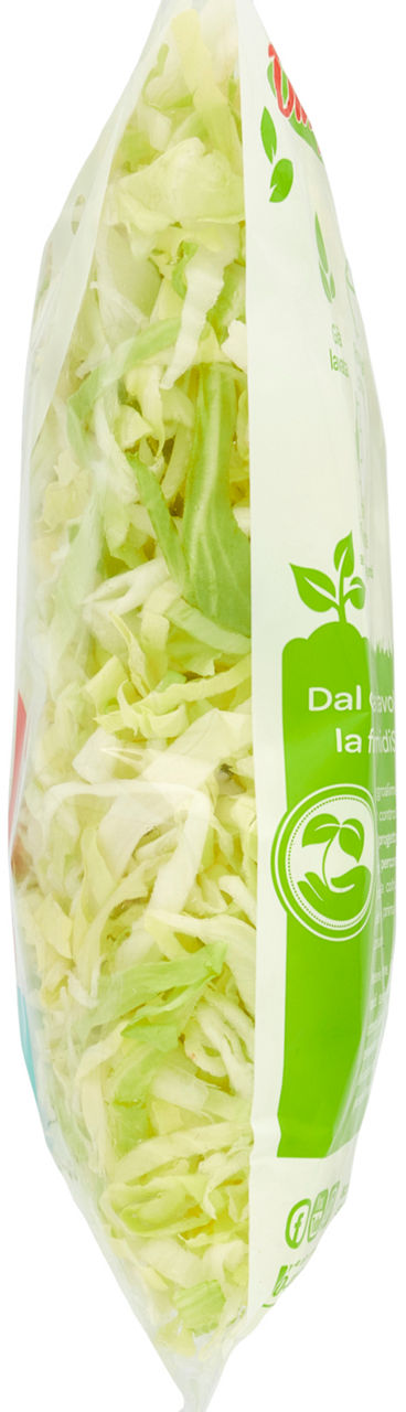 Lattuga iceberg alla julienne 500 gr - Immagine 31