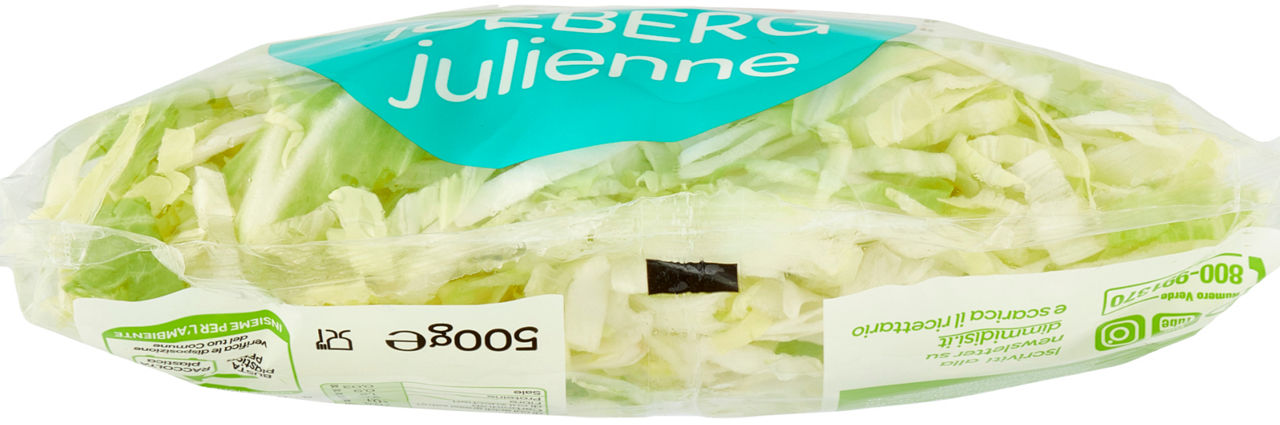 Lattuga iceberg alla julienne 500 gr - Immagine 51