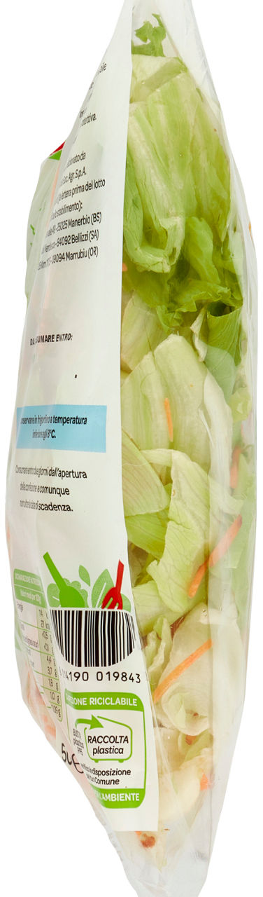 Insalata iceberg e carote 500 gr - Immagine 11