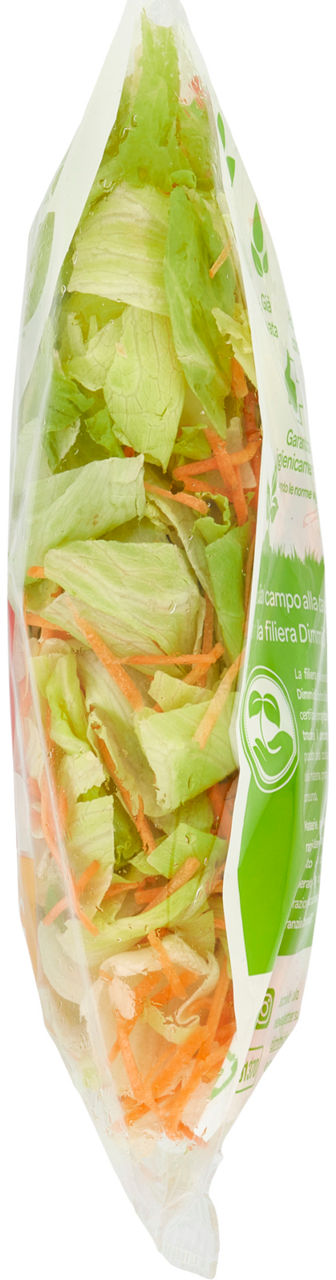 Insalata iceberg e carote 500 gr - Immagine 31