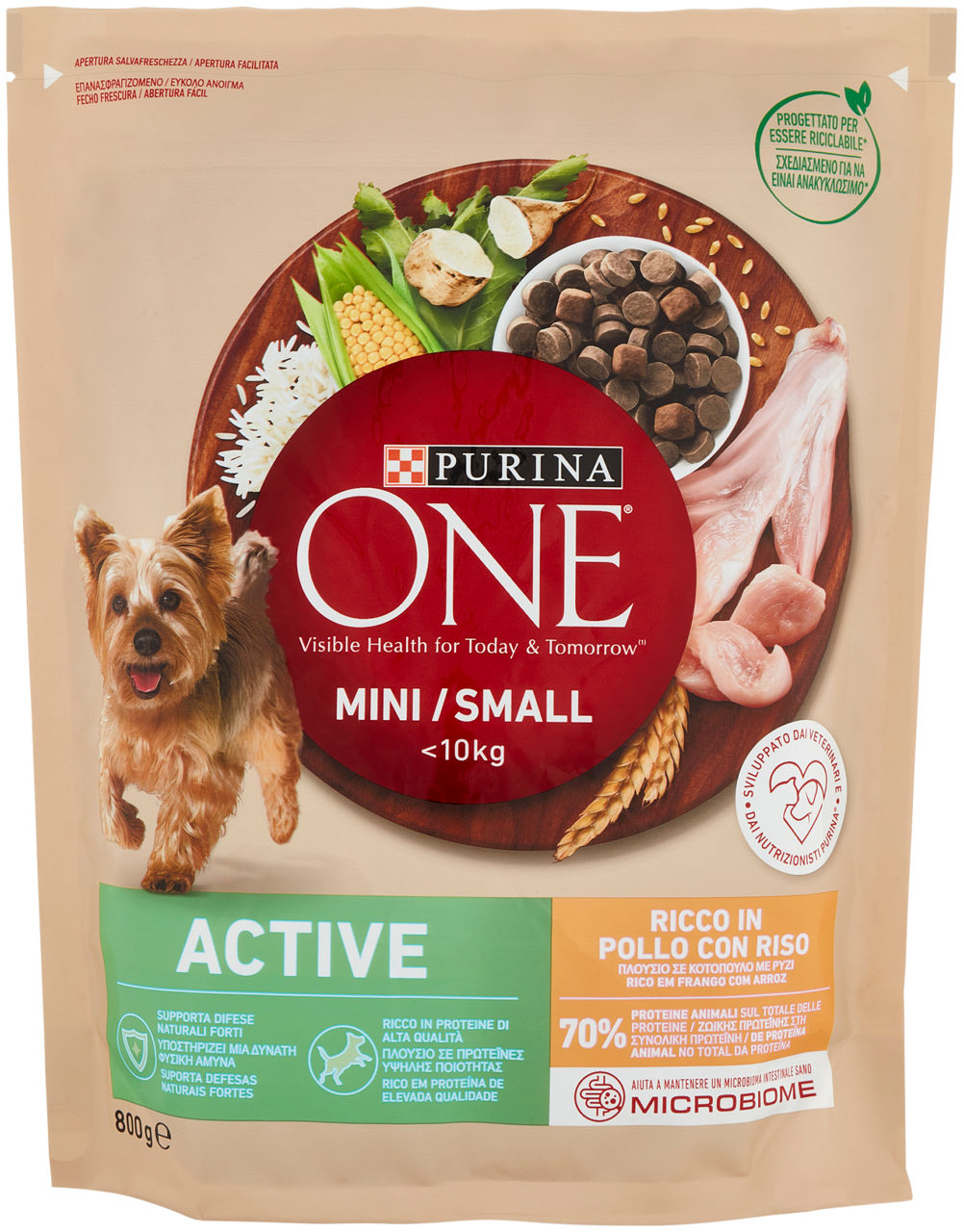 SECCO CANE PURINA CANE ONE MINI<10KG ACTIVE POLLO&RISO SACCHETTO G 800 - Immagine 01