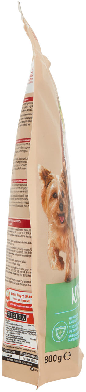 SECCO CANE PURINA CANE ONE MINI<10KG ACTIVE POLLO&RISO SACCHETTO G 800 - Immagine 11