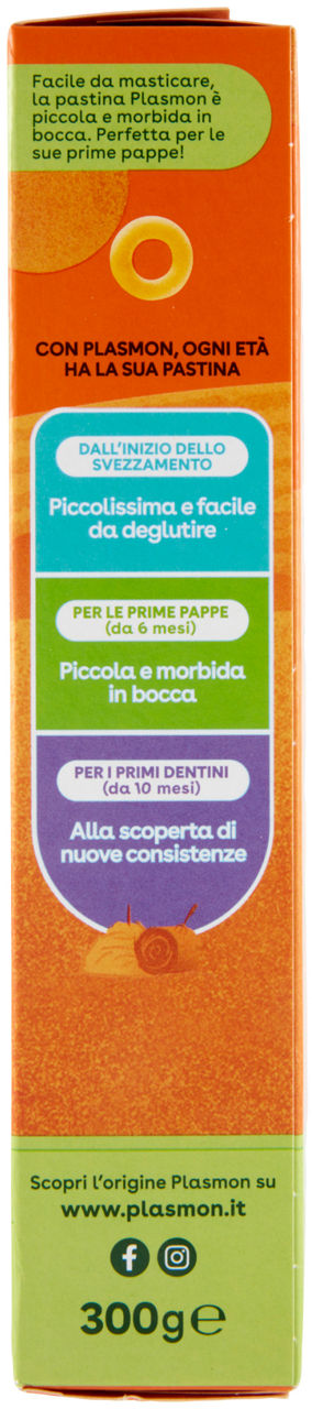 PASTA ANELLINI PLASMON G300 - Immagine 31