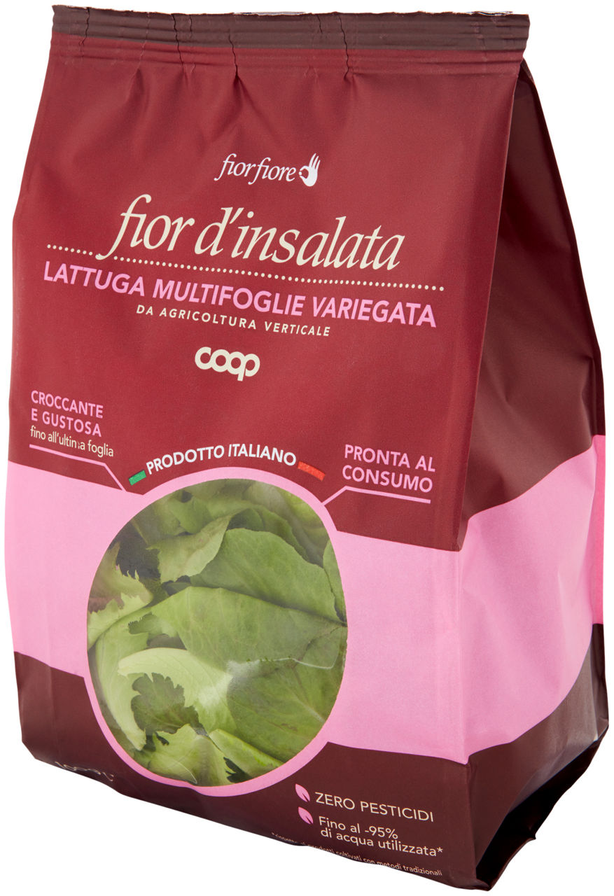 INSALATA LATTUGA MULTIFOGLIE VARIEGATA FIOR D'INSALATA  gr 100 - 6