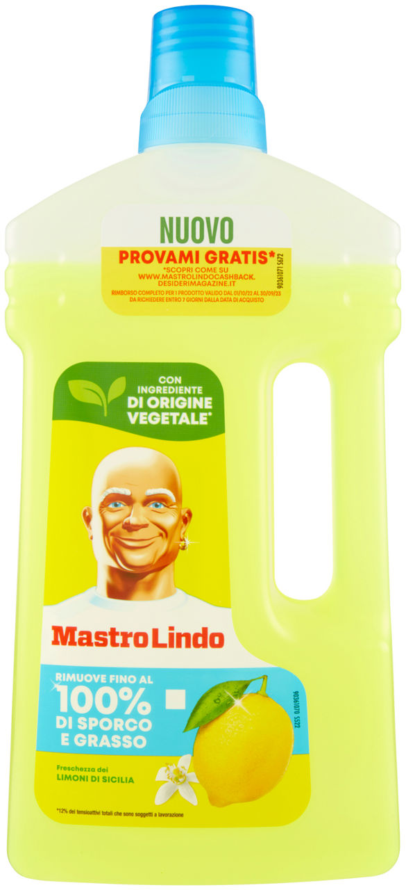 Detergente superfici mastrolindo liq.diluito limone ml 930