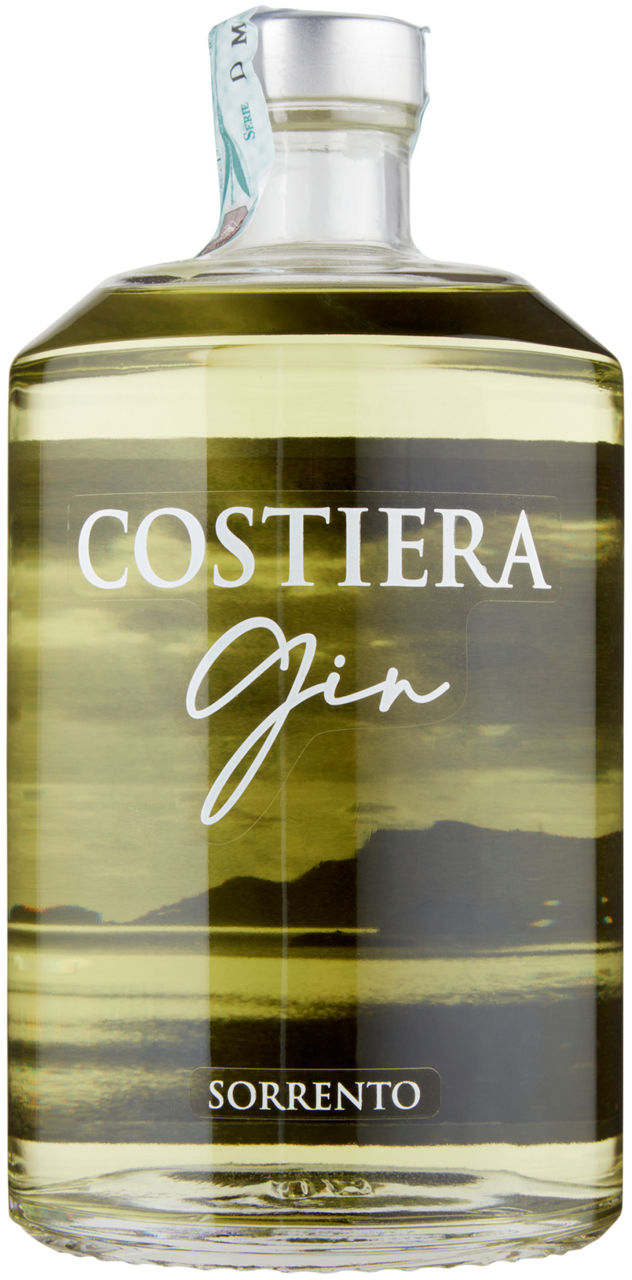 Gin piemme costiera 43 gradi bottiglia ml 700