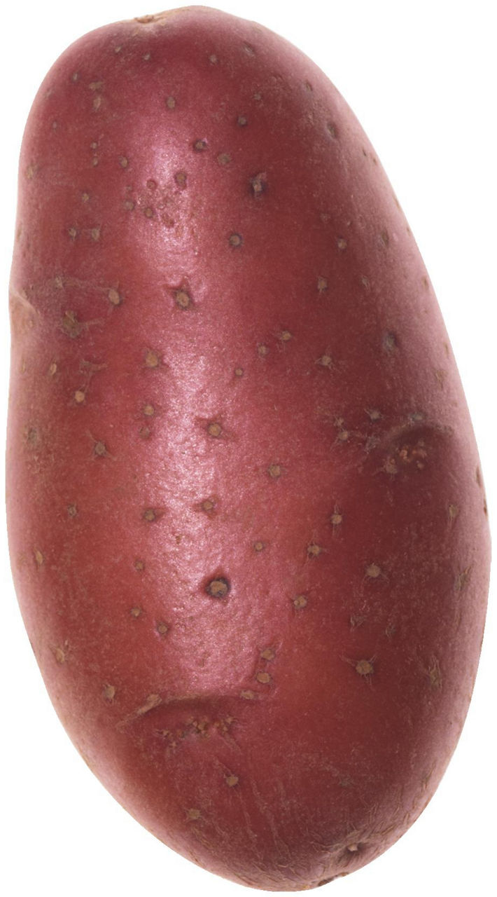 Patate rosse 1,5 kg