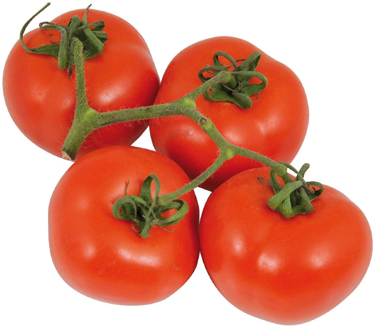 pomodori rossi - 1