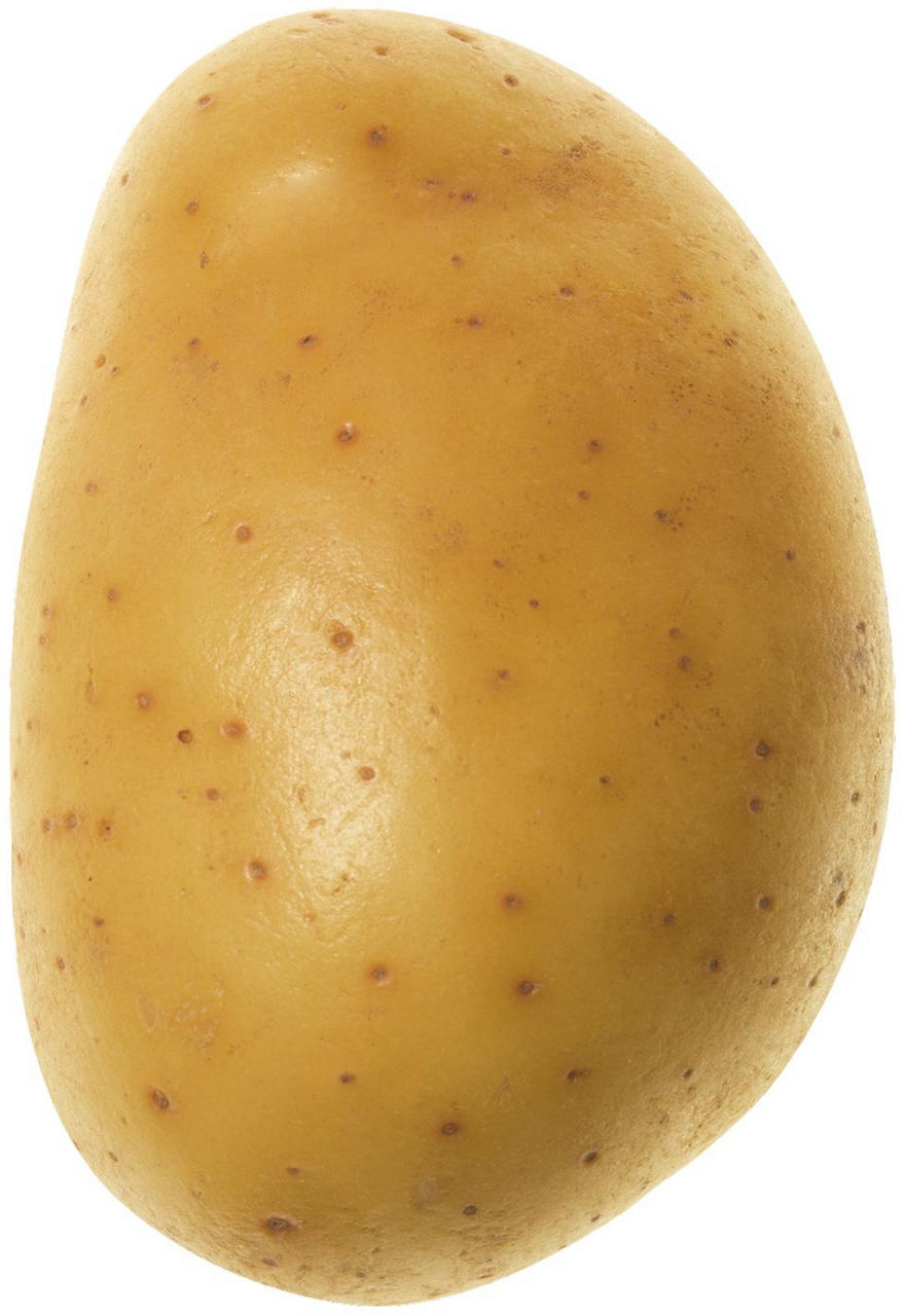 Patate gialle 2,5 kg - Immagine 11