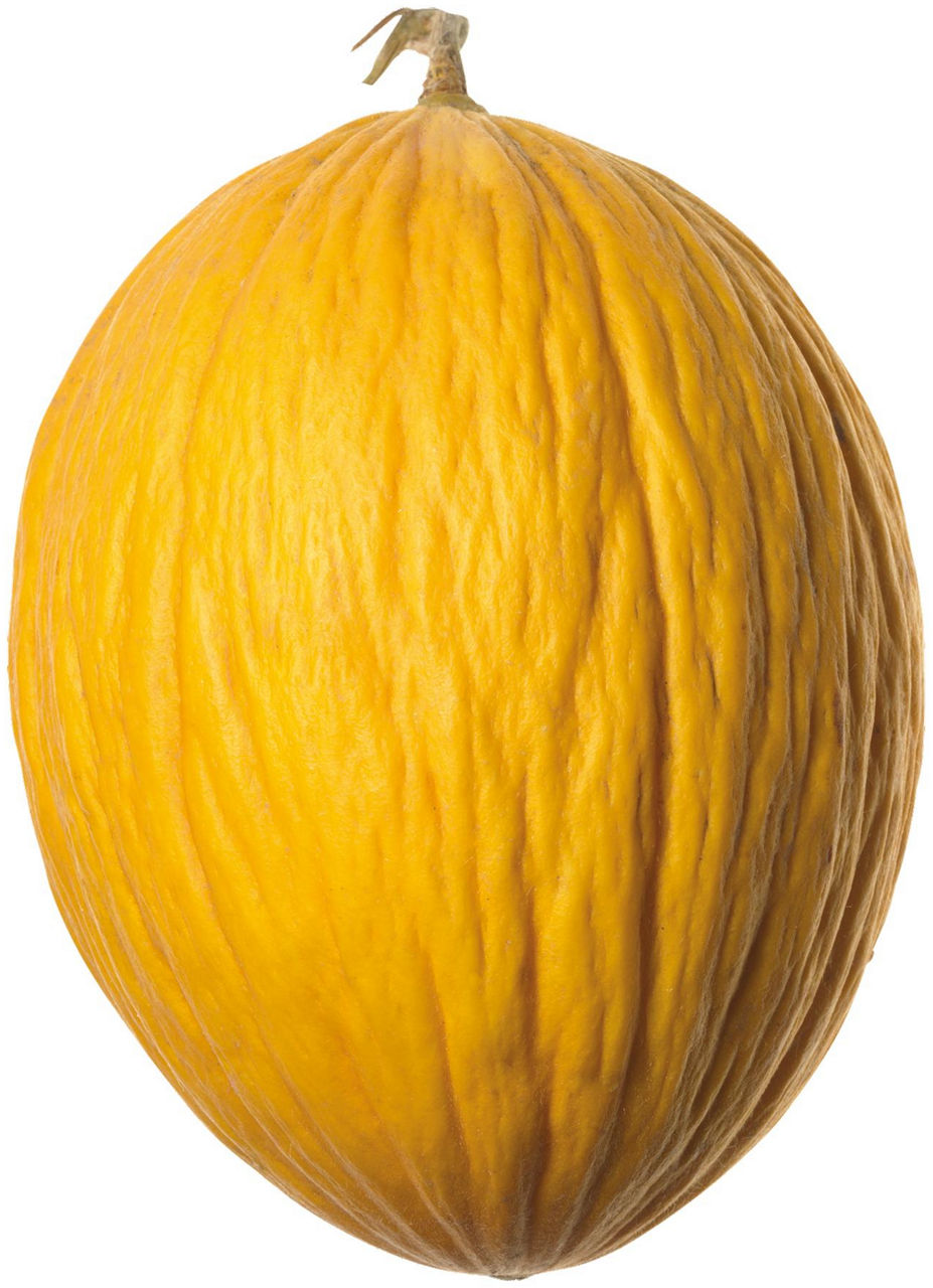 Melone giallo polpa bianca - 1
