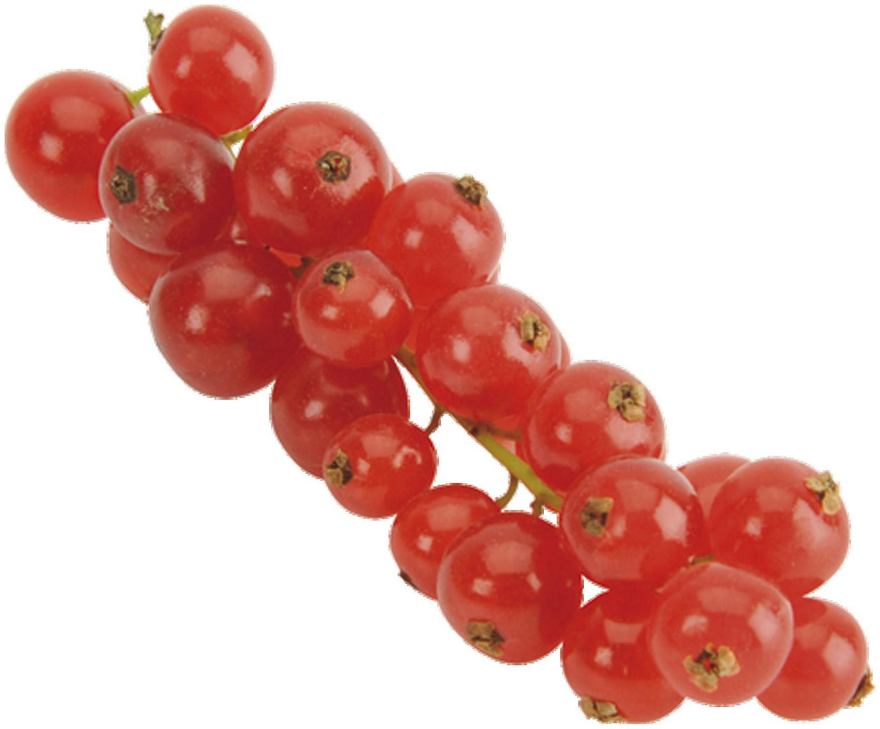Ribes rosso 125 gr