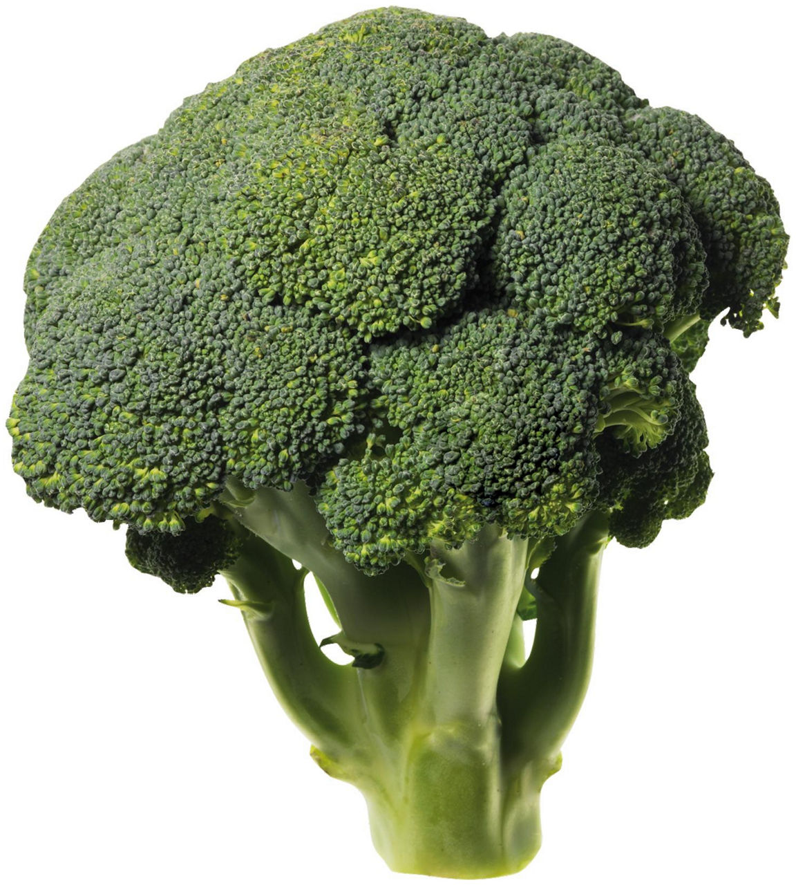 Cavoli broccoli - 1