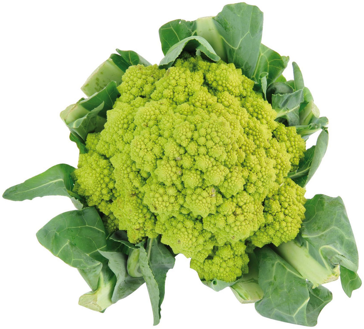 Cavolfiore romanesco - Immagine 11