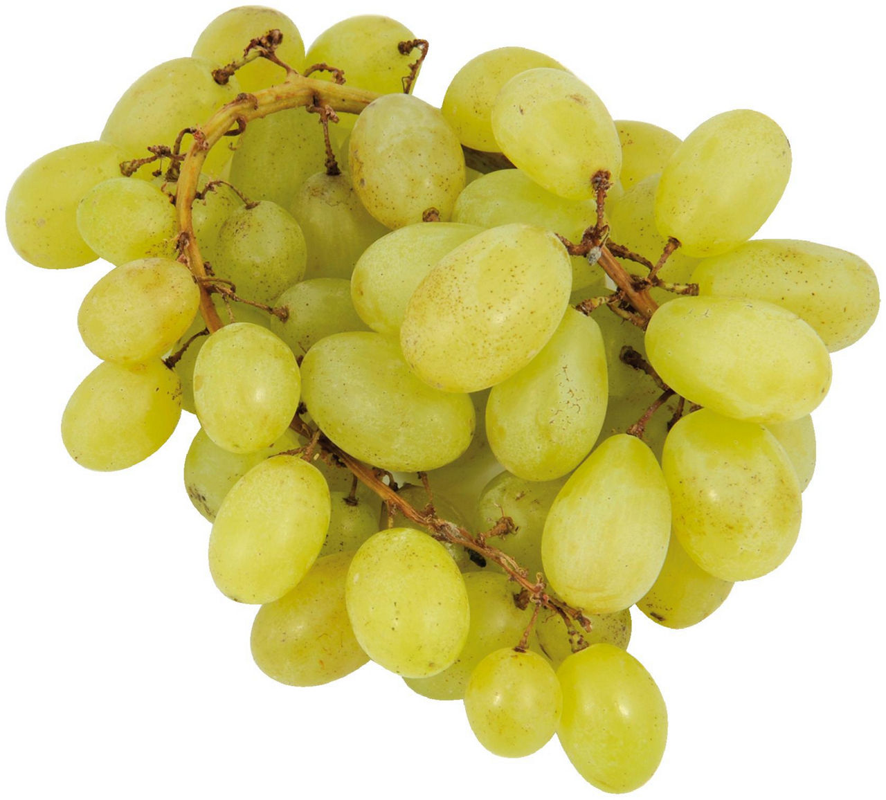 Uva bianca senza semi 500 gr - Immagine 01
