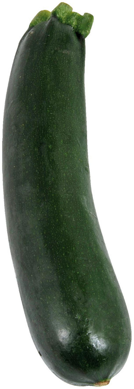 Bio zucchine scure vverde g800