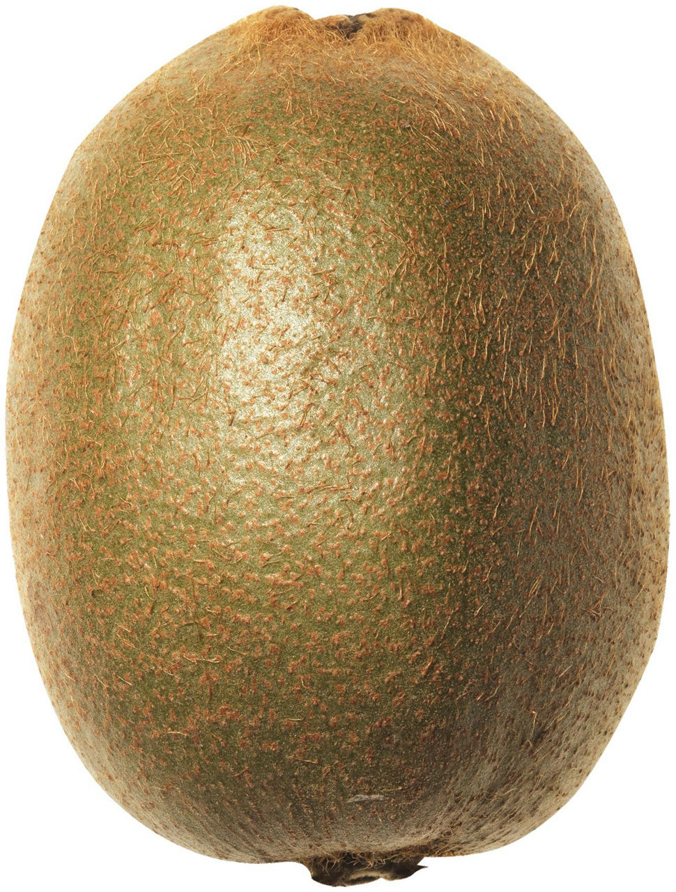 Kiwi kg 1 - 0