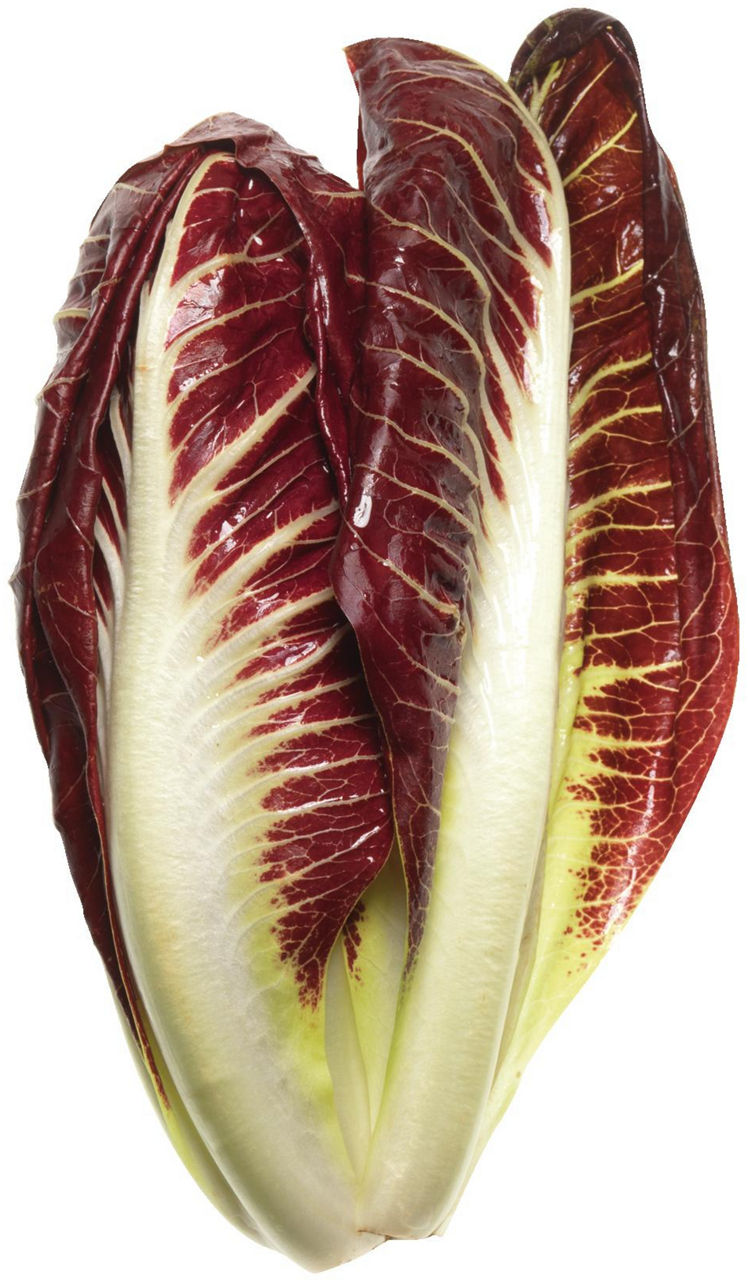 Radicchio rosso - Immagine 11