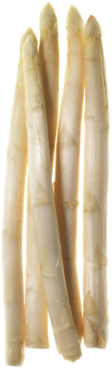 Asparago bianco g 500