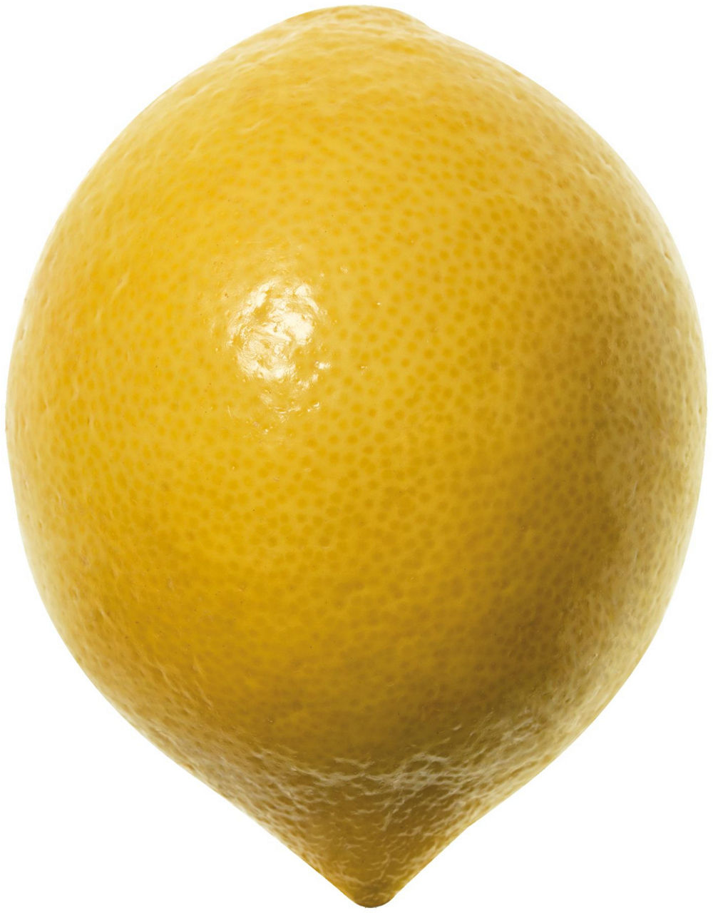 Limoni affogliati costa d amalfi igp it 4 i^ sf